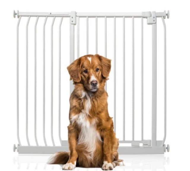 Bettacare Extra Tall Elite Dog Gate, 107Cm - 116Cm, Matt White, Extra Tall 96.8Cm In Height, Pressure Fit Pet Gate