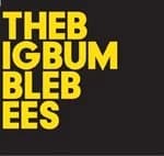 Baby Dee - The Big Bumble Bees (Music CD)