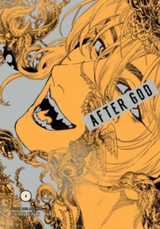 After God, Vol. 4 Paperback / softback
