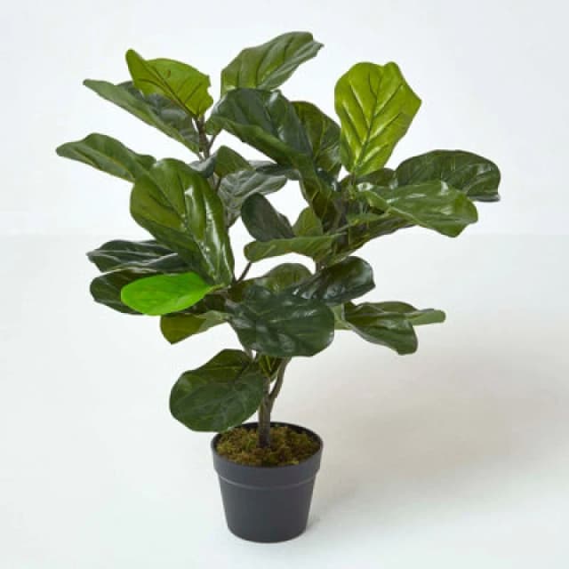 Homescapes Artificial Fiddle Leaf Fig Tree in Pot, 70cm Tall Green