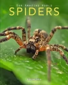 Spiders : Amazing Pictures & Fun Facts on Animals in Nature