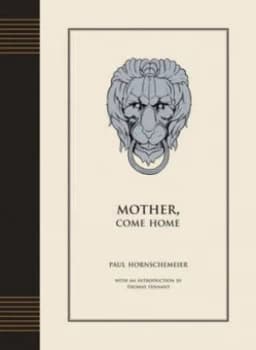 Mother Come Home by Paul Hornschemeier Hardback