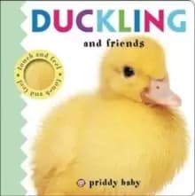 Duckling and Friends : Priddy Touch & Feel