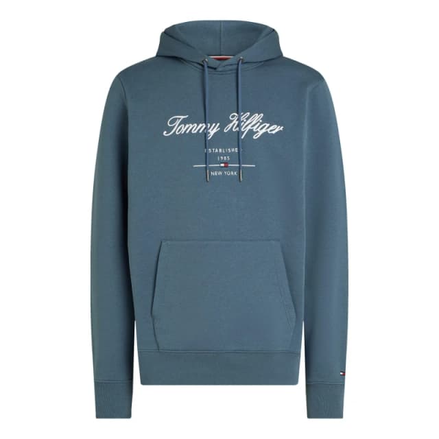 Tommy Hilfiger SCRIPT LOGO HOODY OTH Hoodies S Blue 51478918350