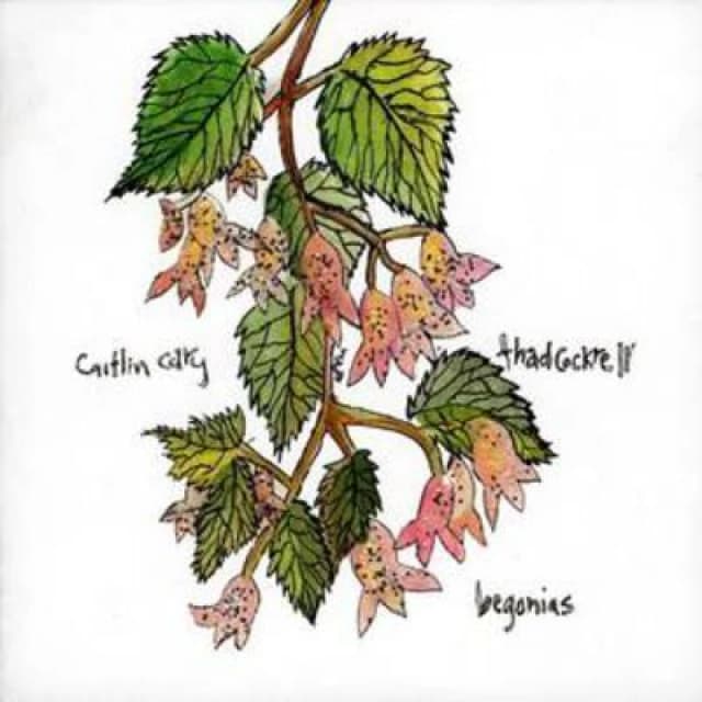 Caitlin Cary And Thad Cockrell - Begonias CD Album - Used