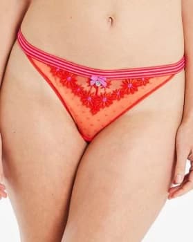 Boux Avenue Rayna Brief