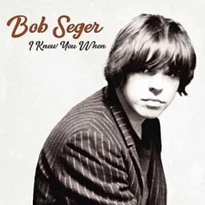 Bob Seger - I Knew You When Vinyl