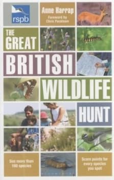 The Great British Wildlife Hunt by Anne Harrap Paperback