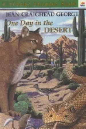 one day in the desert