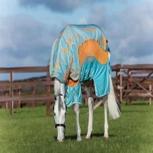 Amigo Three In One Evolution - Aqua/Orange