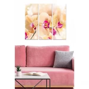 MDF5151906 Multicolor Decorative MDF Painting (3 Pieces)