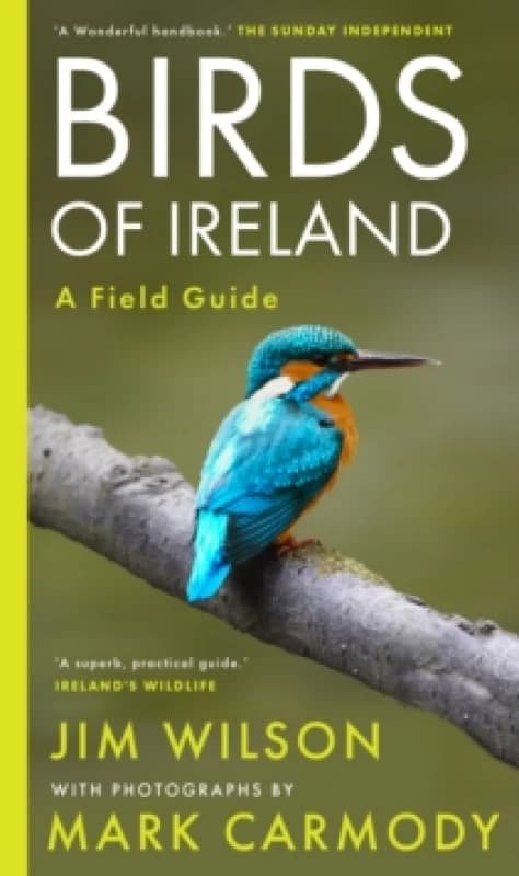 Birds of Ireland Paperback / softback