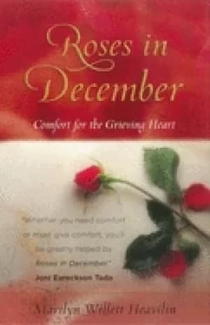 roses in december comfort for the grieving heart
