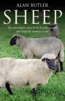 Sheep by Alan Butler Paperback