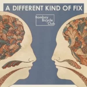Bombay Bicycle Club ‎- A Different Kind Of Fix Vinyl