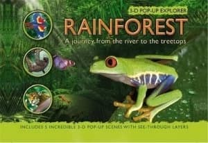 Rainforest by Joe Fullman Hardback