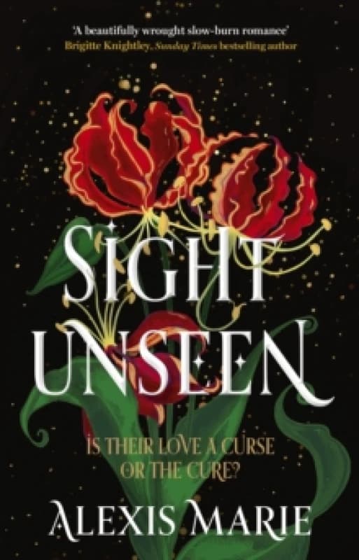 Sight Unseen : An irresistible enemies-to-lovers, slow-burn fantasy romance Paperback / softback