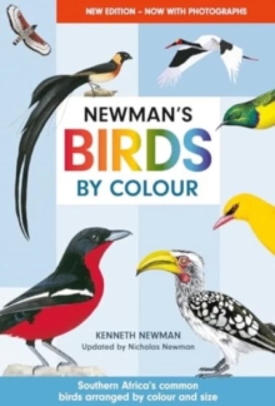 Newman's Birds by Colour : Southern Africa's Common Birds Arranged by Colour and Size Paperback / softback