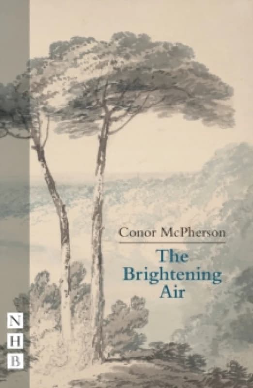 The Brightening Air Paperback / softback