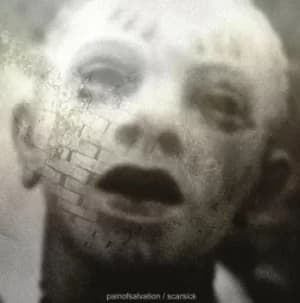 Scarsick by Pain of Salvation Vinyl Album