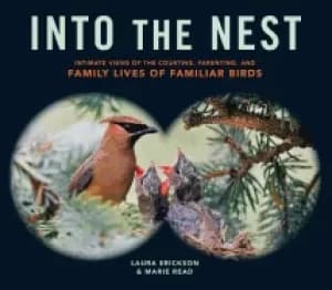 into the nest intimate views of the courting parenting and family lives of
