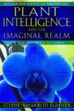 plant intelligence and the imaginal realm beyond the doors of perception in