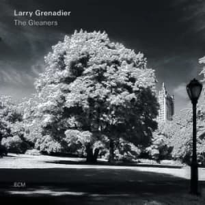 The Gleaners by Larry Grenadier CD Album