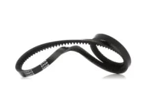 RIDEX V Belt MERCEDES-BENZ,BMW,FORD 10C0037 11718AA020,11721315181,11721315356 Fenner Belt 0231296,1000459,E93A8620A,EO4A8620A,394323100,2312736000