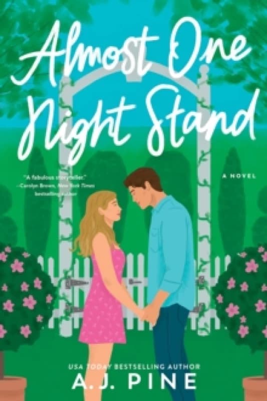 Almost One Night Stand : A Novel Paperback / softback