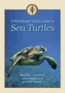 worldwide travel guide to sea turtles