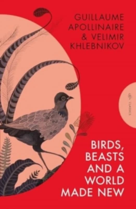 Birds, Beasts and a World Made New Paperback / softback