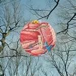 They Might Be Giants - Glean (Music CD)