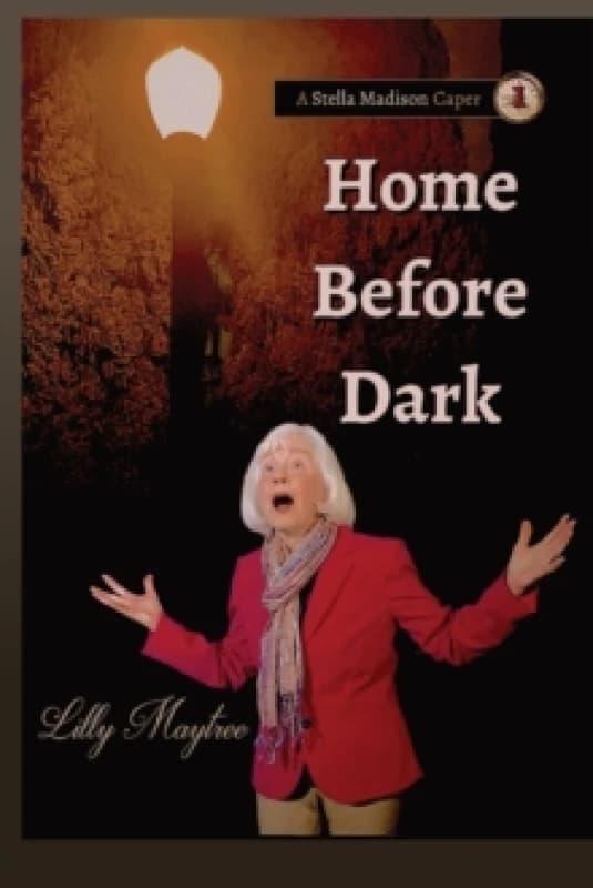 Home Before Dark Paperback / softback