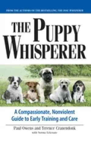 puppy whisperer a compassionate non violent guide to early training and car