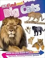 dkfindout big cats