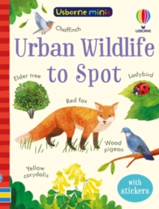 Urban Wildlife to Spot Paperback / softback