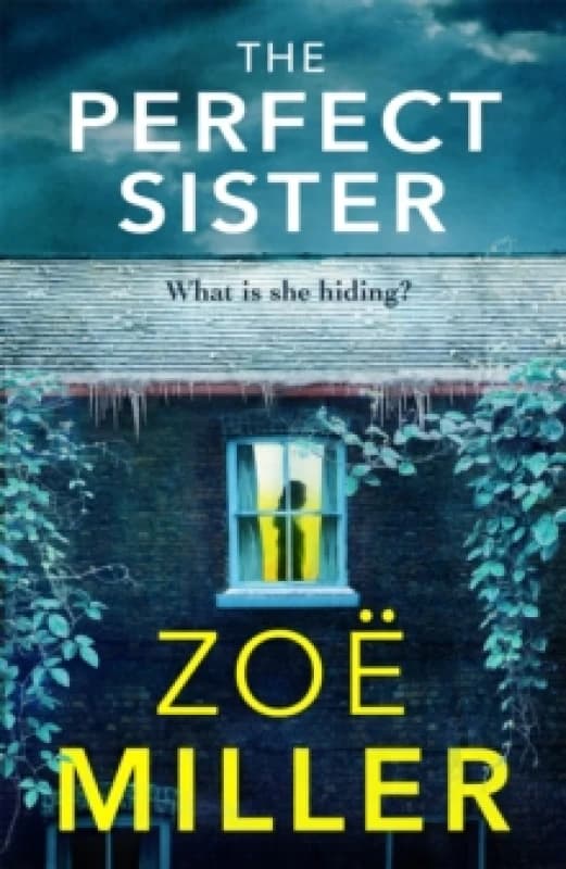The Perfect Sister : A compelling page-turner that you won't be able to put down Paperback / softback