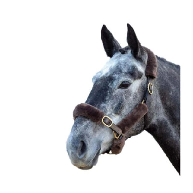 Shires Performance Horses Supafleece Halter Fleeces (Pack Of 9) Brown (One Size)