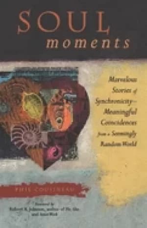 soul moments marvelous stories of synchronicity meaningful coincidences fro