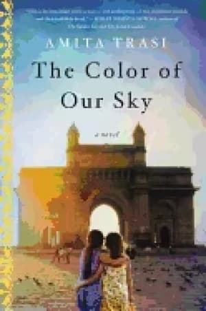 color of our sky a novel