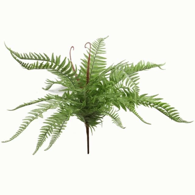 Leaf 60cm Artificial Bushy Dixie Wood Fern Light Green Plant Green Unisex