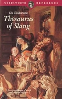 The Wordsworth Thesaurus of Slang by Esther Lewin and Albert E Lewin and Esther Lewin Book