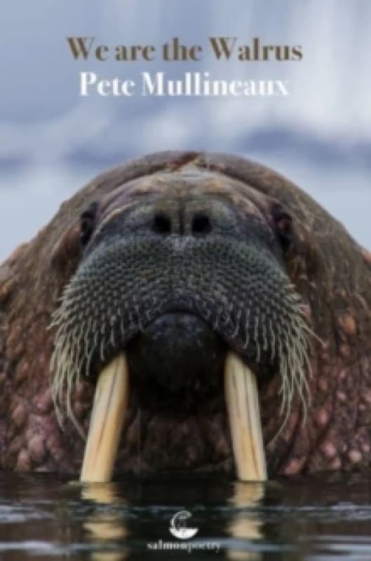 We Are The Walrus Paperback / softback