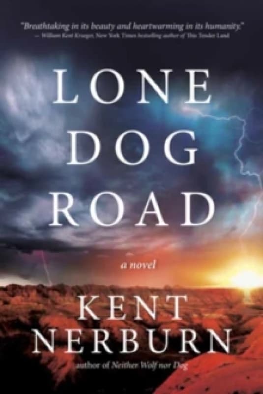 Lone Dog Road : A Novel Paperback / softback