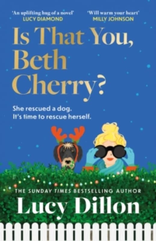 Is That You, Beth Cherry? the warm and witty new novel from the author of Irresponsible Adult Hardback