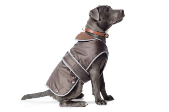 Ancol Waterproof All Weather Stormguard Dog Coat Chocolate unisex
