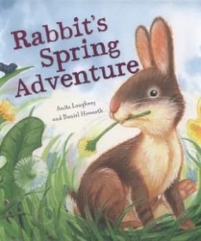 Rabbits Spring Adventure by Anita Loughrey Hardback