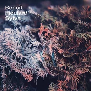 Benoit Pioulard - Sylva CD