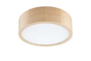 Led Integrated Round Cylindrical Ceiling Light Pine