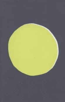 The Yellow World by Albert Espinosa Hardback